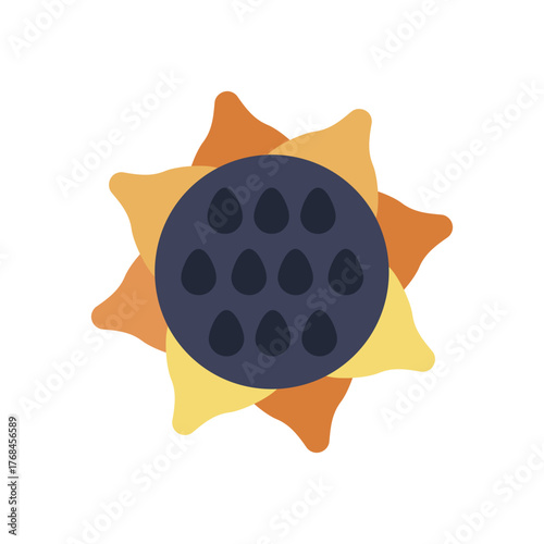 Sunflower outline icon. Vegetable vector
