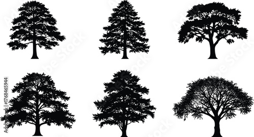 PrintBeautiful black tree silhouettes collection, detailed vector illustration of natural forest trees, perfect for landscape design, nature artwork, decoration, and backgrounds