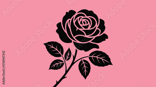 Elegant black rose on a pink background, a stunning floral design element that adds a touch of sophistication and romance to any project