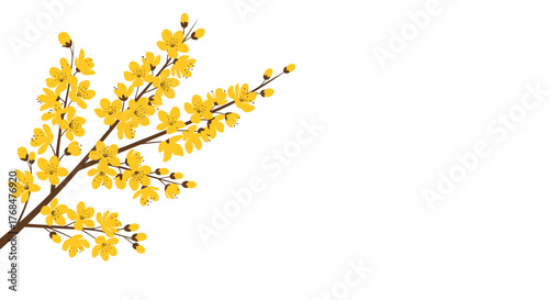 A vibrant yellow flowering branch, possibly forsythia, blooms against a clean white background, symbolizing the arrival of spring.