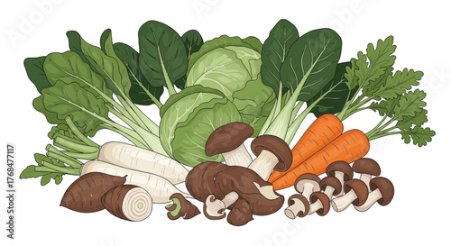 A fresh and diverse collection of vegetables, featuring leafy greens, cabbage, daikon, carrots, taro, and various mushrooms, perfect for healthy meals.