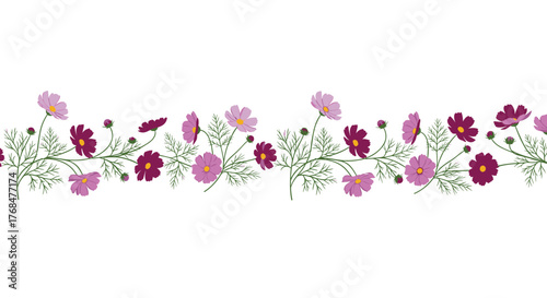 A vibrant horizontal border of cosmos flowers in pink and deep magenta, accented with delicate green leaves on a clean white background.