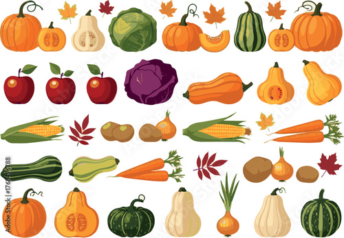 Need Autumn harvest set. Collections of pumpkin, squash, apple, cabbage and other types of vegetables. Vector art with white Background.
