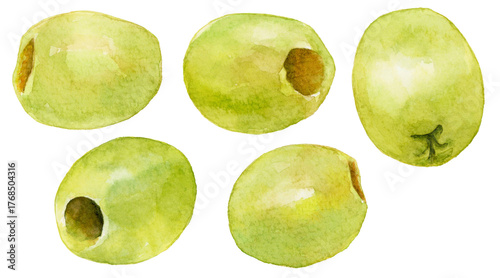 グリーンオリーブの実　水彩イラストセット