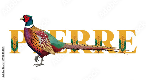 Pheasant Bird on Golden Letters PIERRE with Wheat Stalks