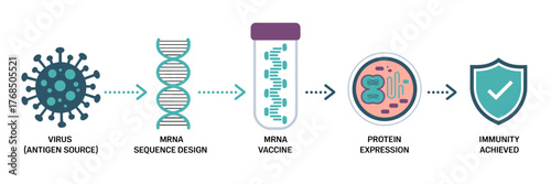 mRNA vaccine mechanism banner in medical vector banner