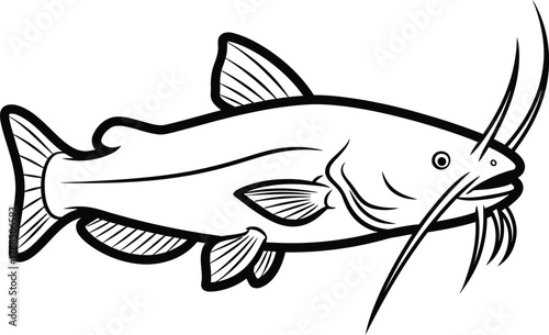 Sketch of a catfish with whiskers detailed line drawing of freshwater fish aquatic animal flat design vector illustration isolated on transparent background