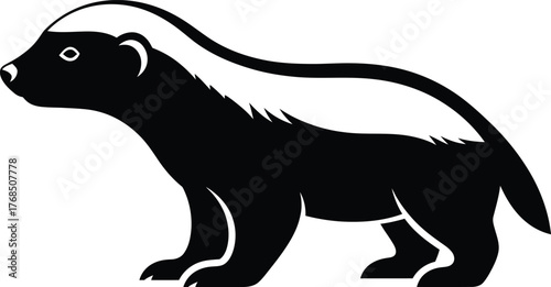 Monochromatic honey badger silhouette fierce animal portrait side view wildlife art flat design vector illustration isolated on transparent background