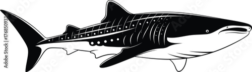 Majestic whale shark illustration ink sketch marine life ocean predator aquatic creature flat design vector illustration isolated on transparent background