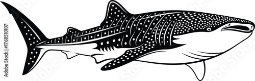 Detailed black and white line drawing of a majestic whale shark swimming in the ocean flat design vector illustration isolated on transparent background