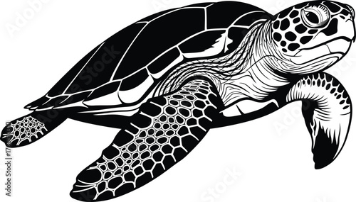 Detailed black and white sea turtle illustration for aquatic and wildlife themes flat design vector illustration isolated on transparent background