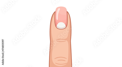 Elegant and well-groomed finger with a classic french manicure displaying refined nail art technique