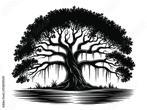 Oak Tree Silhouette Vector – Black and White Illustration Featuring Hanging Spanish Moss for Landscape, Nature, and Atmospheric Design