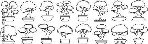 Black and white bonsai tree vector outline illustration art