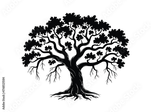 Oak Tree with Draping Spanish Moss,  Black and White Silhouette Vector Illustration