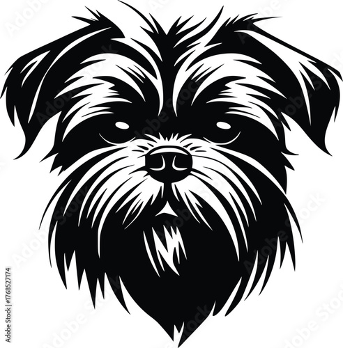 Affenpinscher head silhouette with bushy eyebrows, short muzzle, and tousled coat in black vector