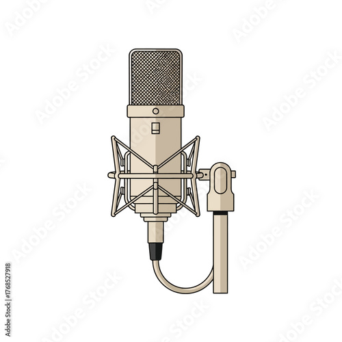 Professional Studio Condenser Microphone with Shock Mount and Cable.