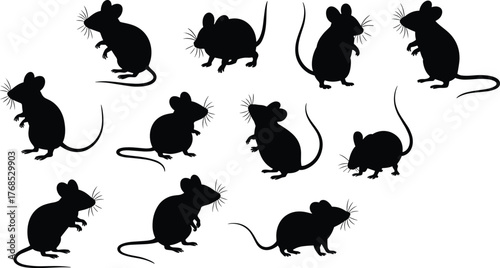 Mouse silhouettes, rodent poses, black shapes, animal motion, whisker detail, tail curvature, crouching mice, standing posture, wildlife icons, small mammals, behavior study