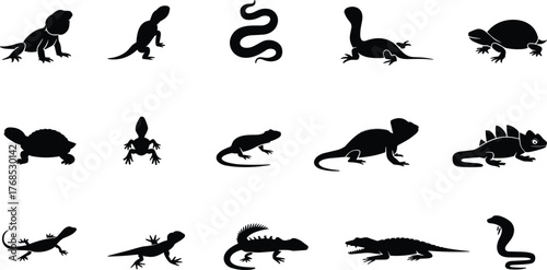 Reptile and amphibian silhouettes, black animal icons, lizard and snake graphics, turtle shapes, nature symbols, minimal wildlife design, vector set
