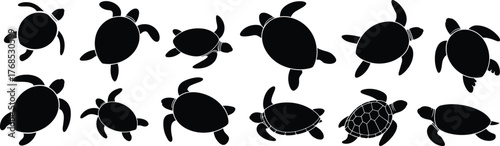 Turtle silhouettes, aquatic animals, shell shapes, black figures, swimming poses, nature icons, reptile grid, top view, side profile, turtle anatomy, wildlife illustration