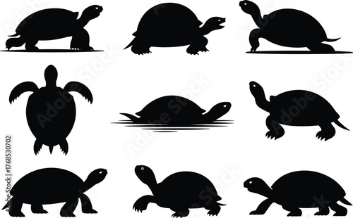 Turtle silhouettes, tortoise poses, reptile icons, shell shapes, black figures, animal grid, nature illustration, aquatic species, wildlife diversity, top view, side profile