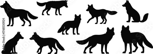 Wolf silhouettes, canine poses, black shapes, standing wolf, sitting posture, walking stance, animal icons, nature grid, behavior study, wild anatomy, predator reference