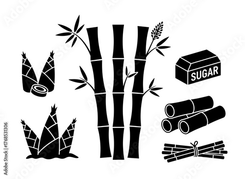 A set of hand‑drawn vector illustrations featuring sugarcane, including trees, growing branches, and engravings, plus a black‑and‑white drawing of rum as an ingredient, all presented with the