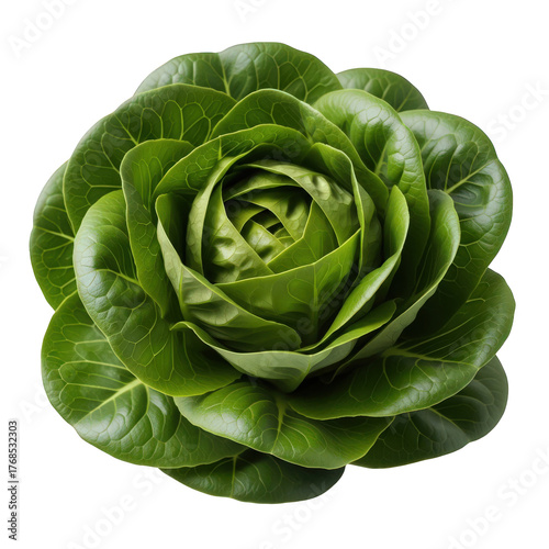 Studio Shot of Fresh Green Lettuce Head Top View, Culinary Ingredient for Healthy Eating, Fresh Harvest, Plant Based Diet, Vegan Source