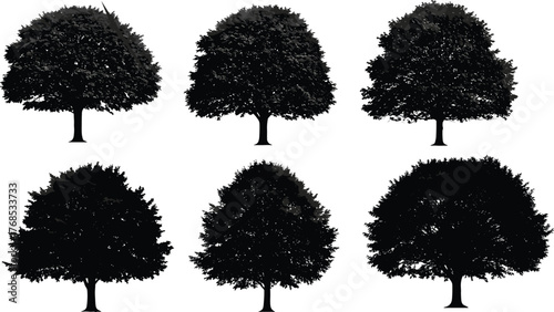 Tree silhouettes, black canopy shapes, forest illustration, botanical design elements, nature clipart, landscape icons, seasonal trees, isolated foliage graphics, vector trees