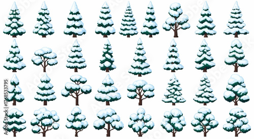 Winter Wonderland Forest Elements Collection of Snowy Trees and Frosted Evergreen Illustrations for Seasonal Designs