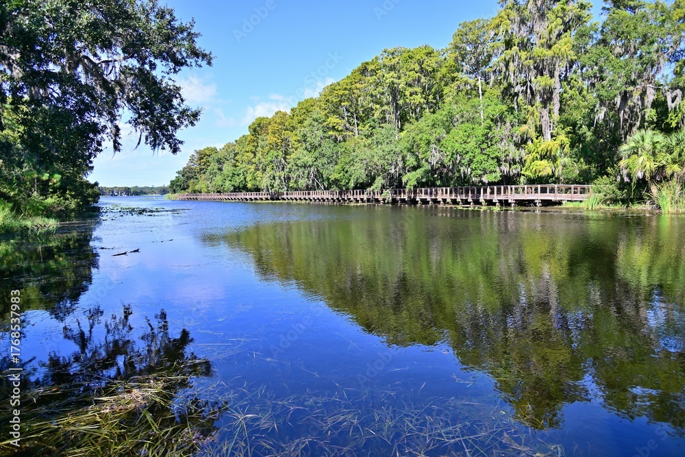Fototapeta premium A quiet inlet on Beautiful Lake Tarpon shows reflections of the forest