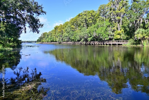 A quiet inlet on Beautiful Lake Tarpon shows reflections of the forest