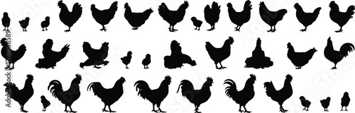 Chicken and chick silhouettes, black bird icons, poultry graphics, farm animal shapes, nature symbols, minimal design, vector livestock illustration set
