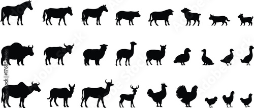 Domesticated animal silhouettes, farm species icons, black livestock graphics, poultry and mammal shapes, nature symbols, minimal design, vector set