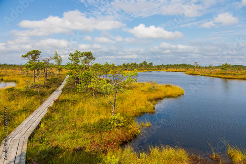 Wooden path along bog lake in Soomaa National Park, Estonia.