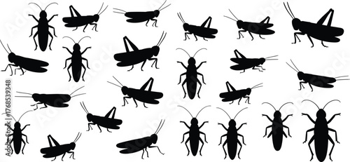 Grasshopper silhouette collection, insect vector set, black shapes, jumping crawling flying poses, nature icon pack, entomology illustration, wildlife bug design