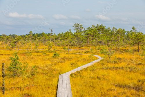 Wooden trail through bog landscape in Soomaa National Park, Estonia.