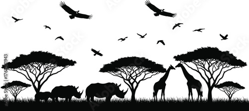 African savanna silhouette, giraffe, rhinoceros, acacia tree, flying birds, wildlife vector, nature scene, black icon, ecosystem illustration, clipart
