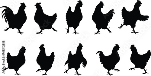 Chicken silhouettes collection, black poultry shapes, farm animals, rooster and hen clipart, vector design, walking chickens, domestic birds, livestock art