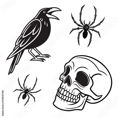 Spooky halloween illustration featuring a black crow two spiders and a human skull on a white background