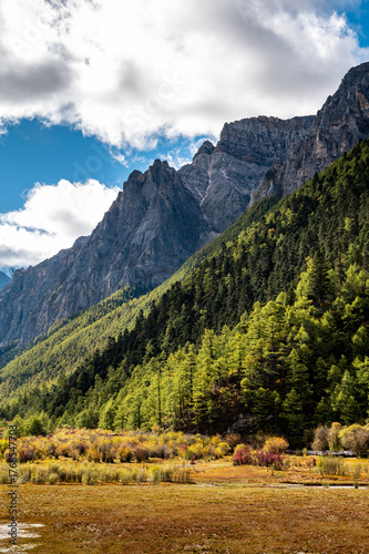 The rocky mountains and forest vegetation scenery of the Qinghai-Tibet Plateau region