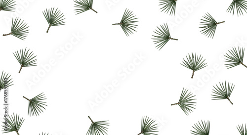 Scattered Pine Needles Vector A Serene and Organic Design Element on White Background