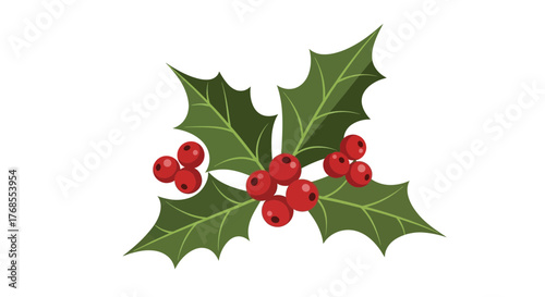 Festive Holly Berry Sprig Illustration for Seasonal Decor and Christmas Greetings