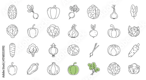 A collection of hand-drawn outline illustrations of various vegetables on a white background.