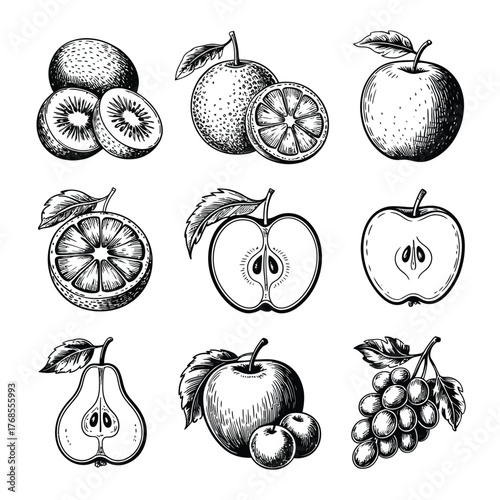 Vintage Botanical Illustration of Various Fruits in Grid