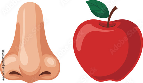 Cartoon nose, red apple, green leaf, sensory illustration, smell and taste, fruit, organ, shiny apple, nostrils, stem, leaf, realistic shading, stylized drawing, healthy food, human anatomy, 