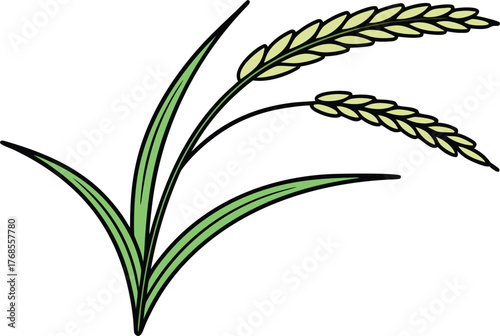 Rice and Traditional Cuisine Design. Rice Ear and Farm Harvest Concept. Natural Grain and Agriculture Theme. White Rice and Food Ingredient Design. Healthy Rice and Organic Farming Concept