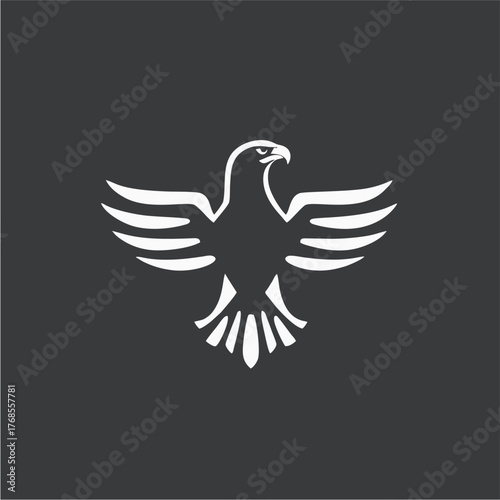 Stylized Eagle Logo Design in Monochrome Vector Style Representing Power, Freedom, and Strength for Branding and Corporate Identity

