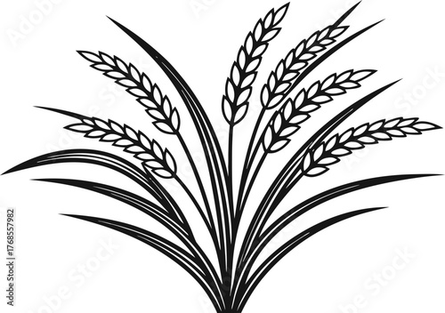 Rice Grain and Bowl Design Collection. Fresh Rice Crop and Harvest Elements. Asian Rice Food and Grain Concept. Steamed Rice and Kitchen Ingredient Art. Organic Rice Plant and Field Illustration