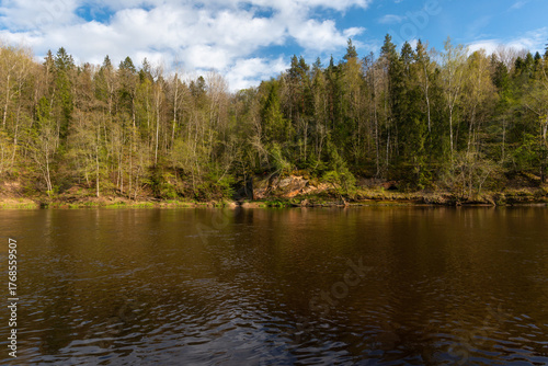 Latvia. Sigulda. View of the rock with trees and river in spring.